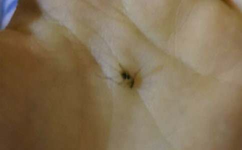 �������ռǺϼ���ƪ