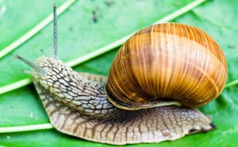 ����ţ�Ľ�������ѧ��˼