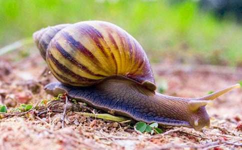 ����ţ�Ľ�������ѧ��˼