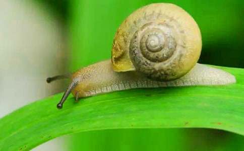 ����ţ����ѧ��˼