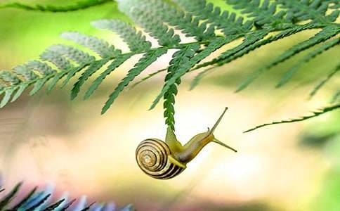 ����ţ�Ľ�������ѧ�ĵ�