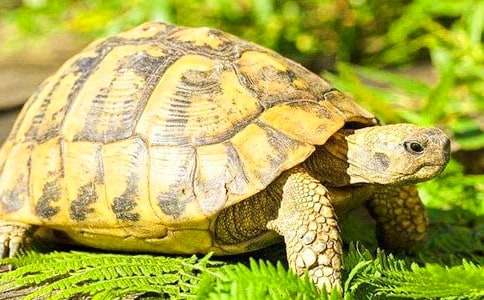 ��ѡ���꼶�ڹ������300��4ƪ