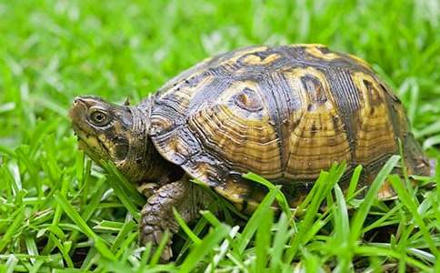 �й�С�ڹ���꼶���Ļ��8ƪ