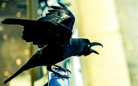 ����ѻ��ˮ��˵�θ�ͨ��15ƪ