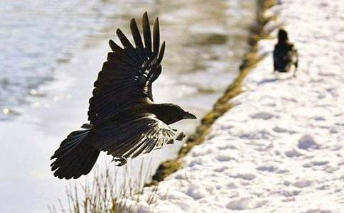 ��ѻ��ˮ��˵�θ�