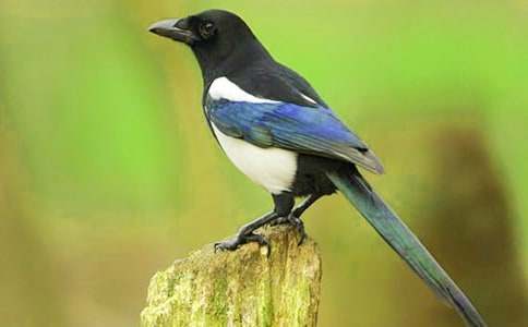 ������ϲȵ����ѧ���