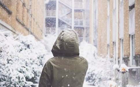 ��ѩ���꼶����300�ֻ���8ƪ