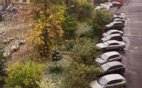 下雪三年级作文