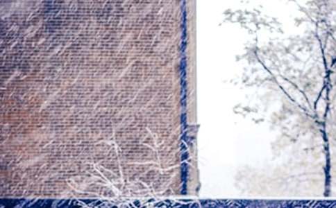 �й����꼶��ѩ�����ĺϼ�10ƪ