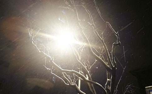 ����ѡ����ѩ�ռǼ��Ͼ�ƪ