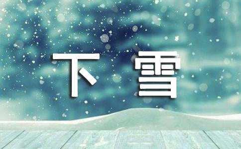 实用的下雪日记4篇