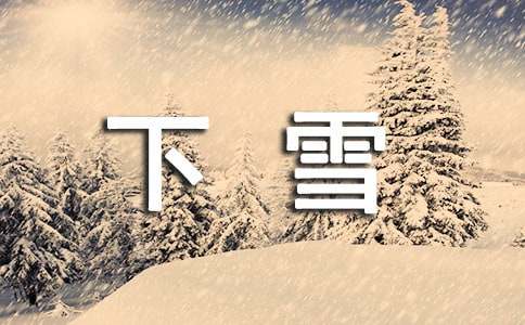精选三年级下雪了作文300字4篇