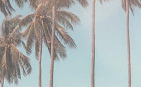 �ļ����������ͨ��