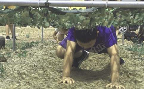 ��������Ӫ�ռ�ģ�����5ƪ