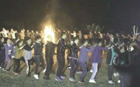 关于夏令营日记模板七篇