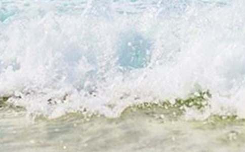 ������ĳɳ���ѧ���