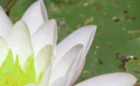 �׶�԰���������