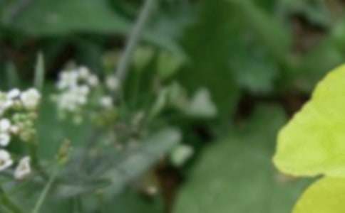 ������������