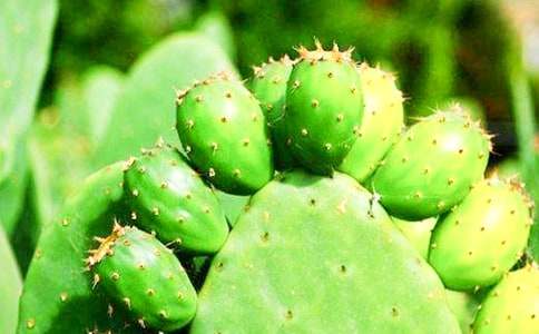 ��д�����Ƶ����꼶����