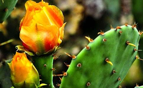 �����Ƽ�����11ƪ