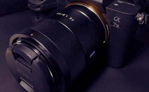 ������̰�