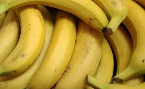 ���Ƽ����㽶���꼶���ĺϼ�10ƪ