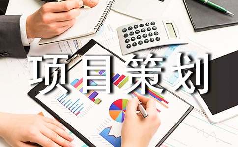 【精选】项目策划八篇