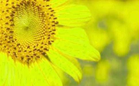 �����տ�Ů�����ۺ�У�ͨ��26ƪ��