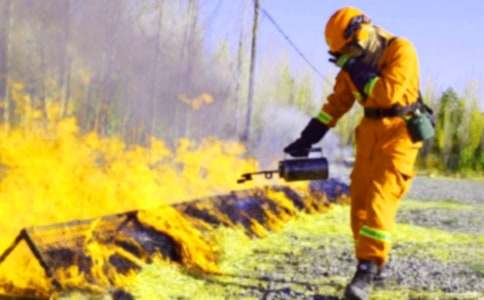 ���������ܽὲ����