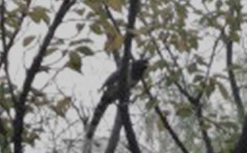 ���꼶������дС��