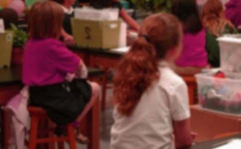 Сѧ�����ʵ���ܽ�ͨ��15ƪ