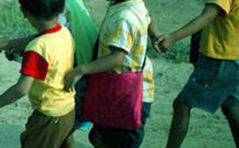 精选小学生的日记模板汇总8篇