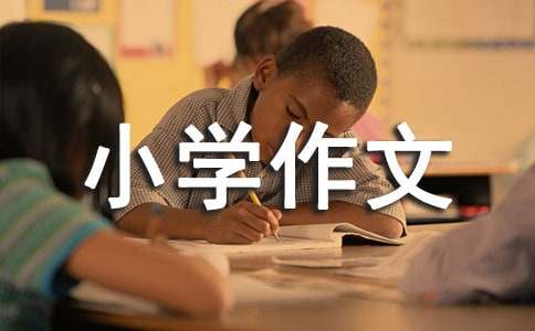 三年级小学作文300字4篇