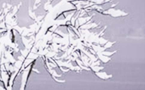 ����Сѩ�̰�