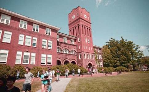 小学校园文化建设自查报告