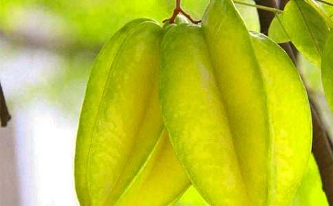 ˵�θ廭����