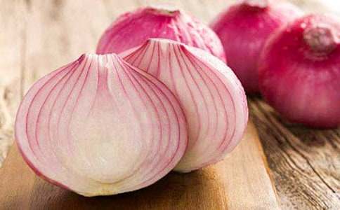 ���ţ������ͷ���ռǡ������15ƪ