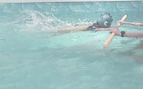 ������Ӿ���ռ�15ƪ