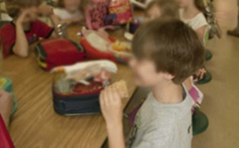 幼儿园小班的学期工作计划集锦七篇