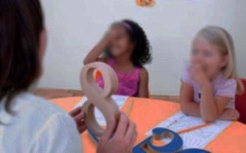 【推荐】幼儿园园教学总结模板合集5篇