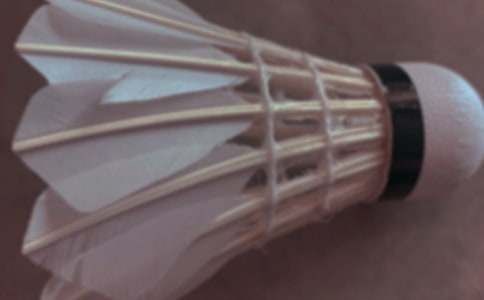 ��ë������ܽ᷶��