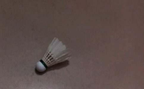 ���ڴ���ë���ܼǣ���ѡ46ƪ��