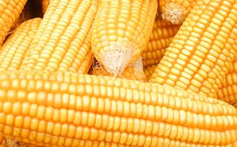 С�ࡶ�����ס���ѧ��˼