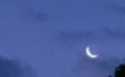 (必备)月亮与六便士读后感