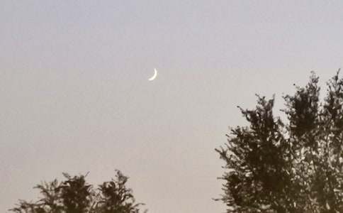 《月亮与六便士》读后感500字