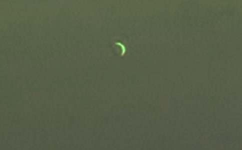 ��������Ը��ѧ��Ʒ���(2ƪ)