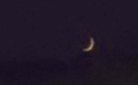 《月亮与六便士》读后感(热)