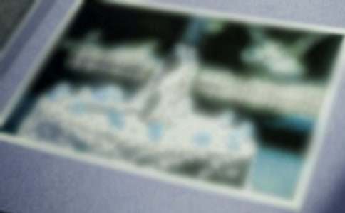 ��Ƭ��Ĺ�����������1000��