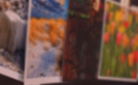 三年级照片作文300字3篇