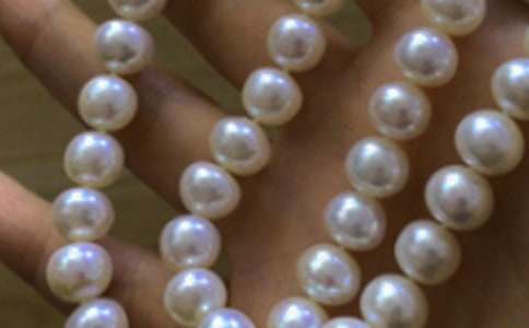 ������Ȫ����Ʒ��ѧ���